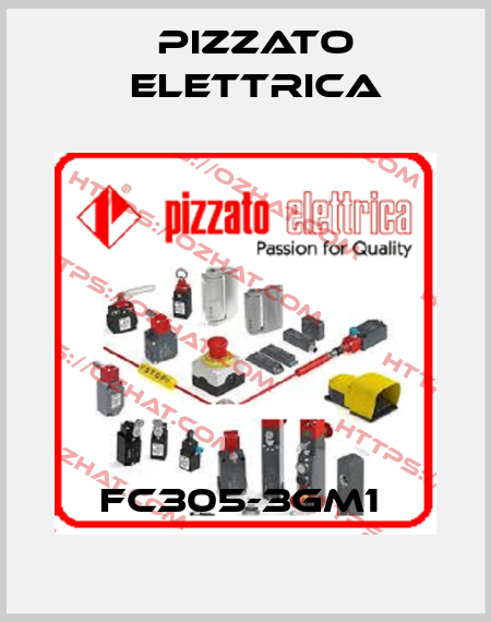 FC305-3GM1  Pizzato Elettrica