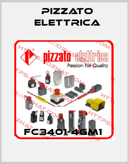 FC3401-4GM1  Pizzato Elettrica