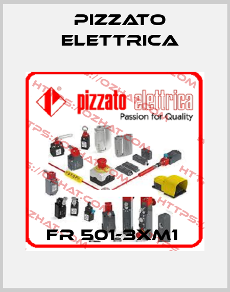 FR 501-3XM1  Pizzato Elettrica