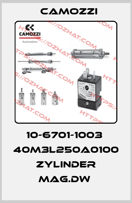 10-6701-1003  40M3L250A0100 ZYLINDER MAG.DW  Camozzi