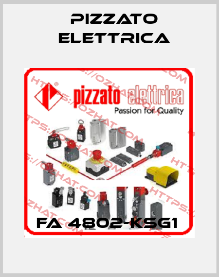 FA 4802-KSG1  Pizzato Elettrica