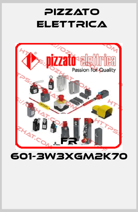 FR 601-3W3XGM2K70  Pizzato Elettrica