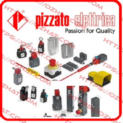 E2 CP10G2V1 (1 pack = 10 pcs) Pizzato Elettrica