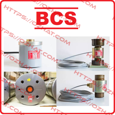 type CNX-100  Bcs