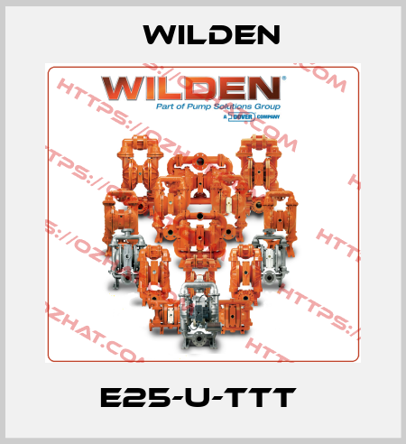 E25-U-TTT  Wilden