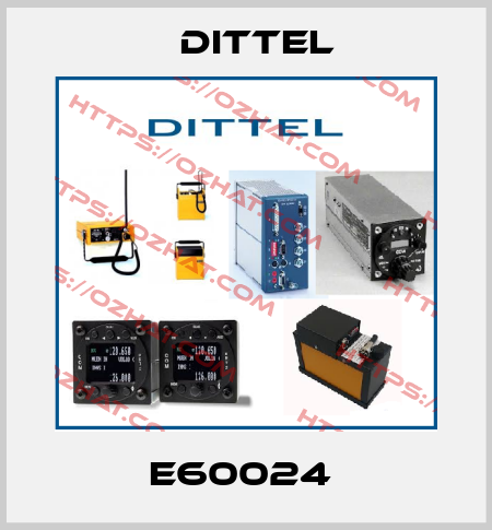 E60024  Dittel