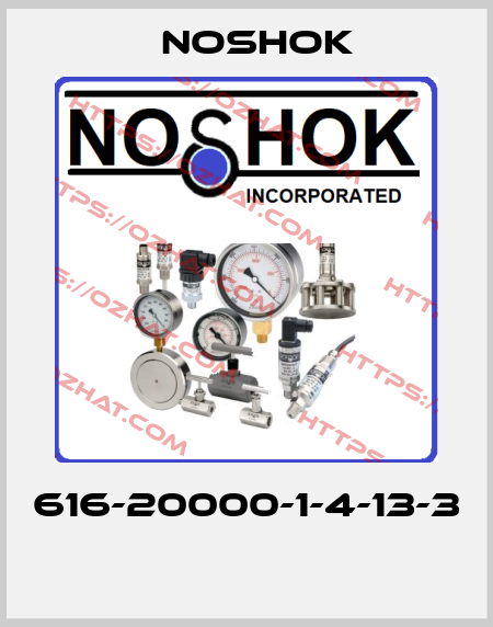 616-20000-1-4-13-3  Noshok