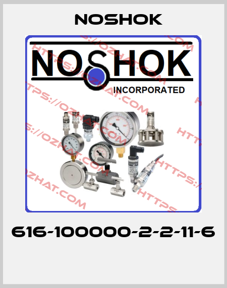 616-100000-2-2-11-6  Noshok