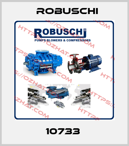 10733  Robuschi