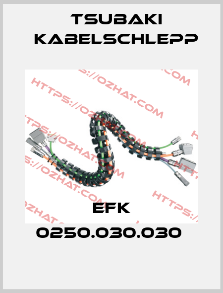 EFK 0250.030.030  Tsubaki Kabelschlepp