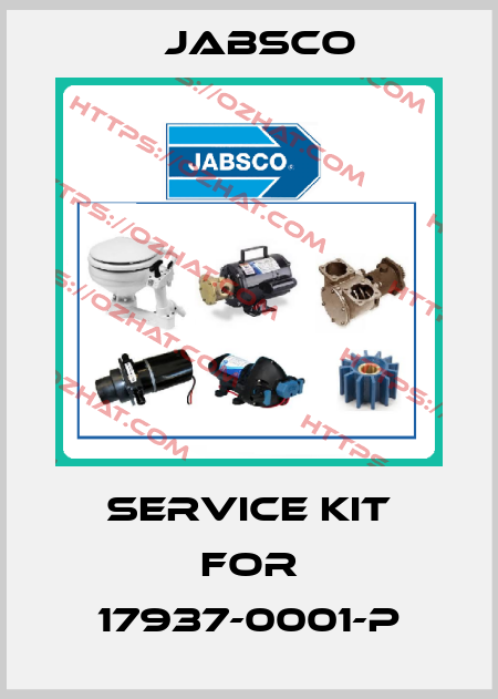 service kit for 17937-0001-P Jabsco