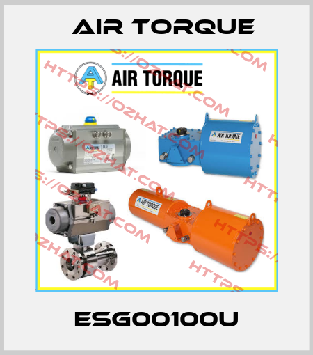 ESG00100U Air Torque