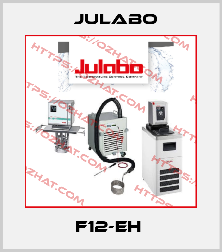 F12-EH  Julabo