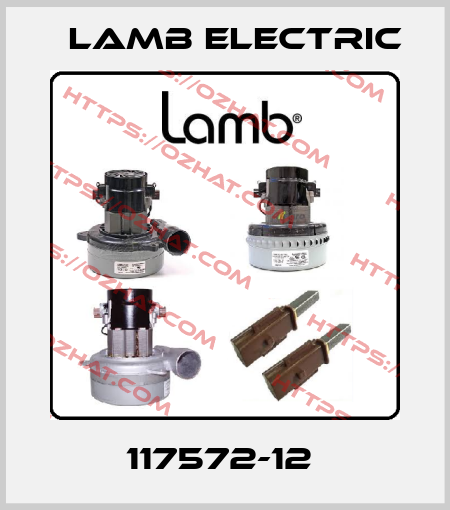 117572-12  Lamb Electric