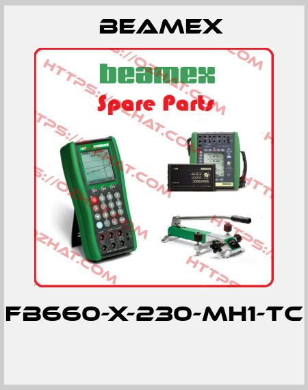 FB660-X-230-MH1-TC  Beamex