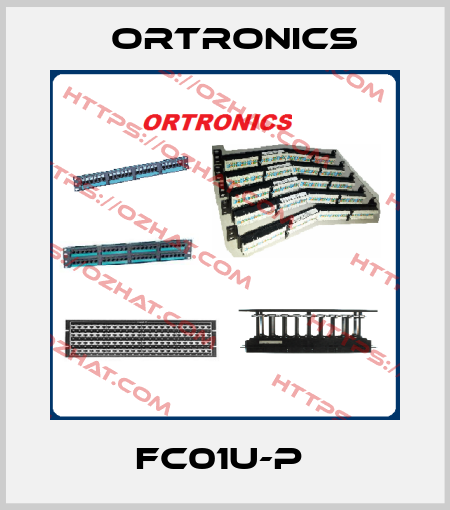 FC01U-P  Ortronics