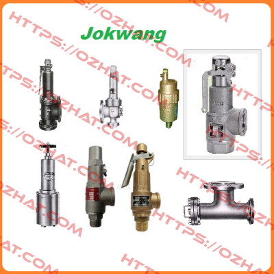 FF100-C-3/4"D1"-A11-212-CN2 12BARG  Jokwang