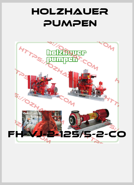 FH-VJ-2-125/5-2-CO  Holzhauer Pumpen
