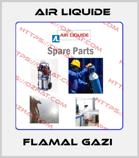 FLAMAL GAZI  Air Liquide