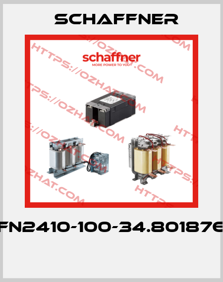 FN2410-100-34.801876  Schaffner