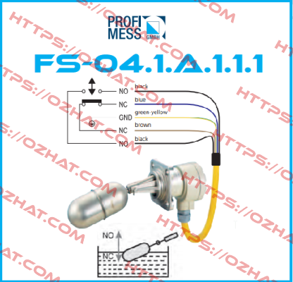 FS-04.1.A.1.1.1 Profimess