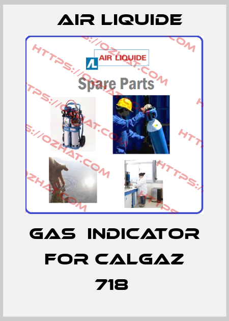 GAS  INDICATOR FOR CALGAZ 718  Air Liquide
