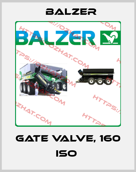 GATE VALVE, 160 ISO  Balzer