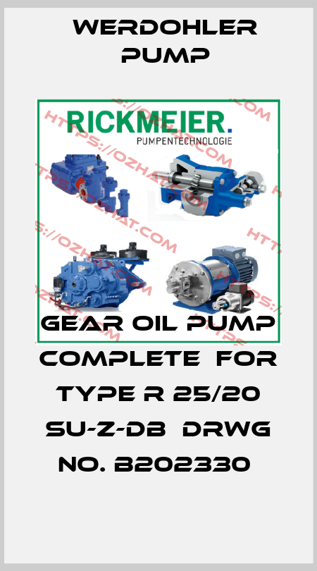 GEAR OIL PUMP COMPLETE  FOR TYPE R 25/20 SU-Z-DB  DRWG NO. B202330  Werdohler Pump