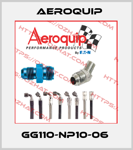 GG110-NP10-06  Aeroquip