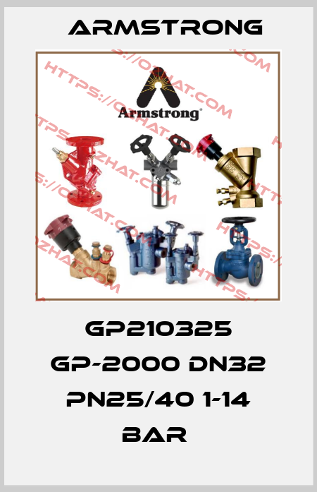 GP210325 GP-2000 DN32 PN25/40 1-14 BAR  Armstrong