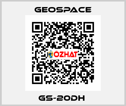 GS-20DH  GeoSpace
