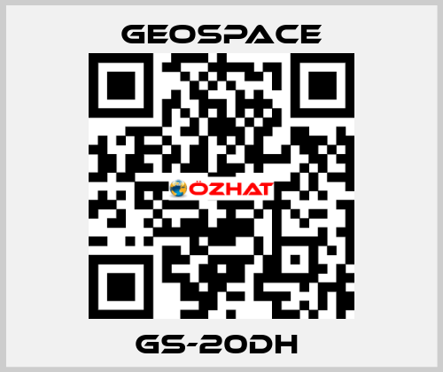 GS-20DH  GeoSpace