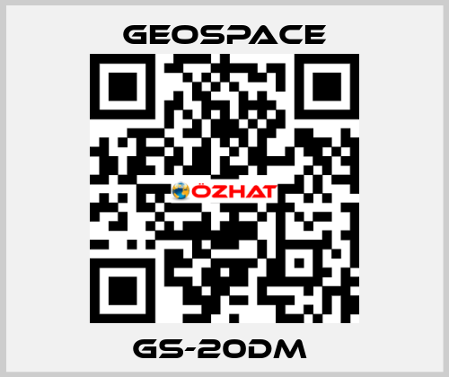 GS-20DM  GeoSpace