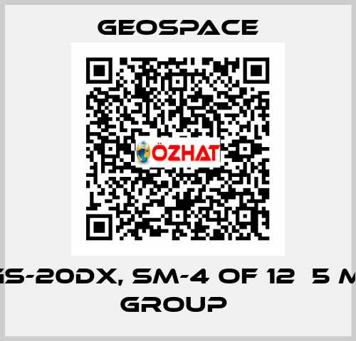 GS-20DX, SM-4 OF 12Х5 M, GROUP  GeoSpace