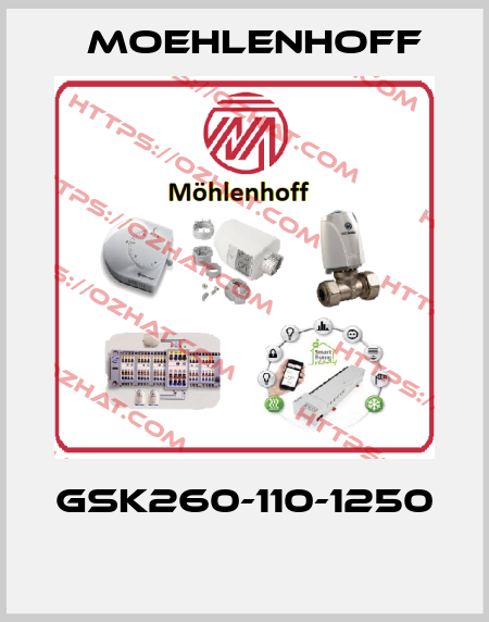 GSK260-110-1250  Moehlenhoff