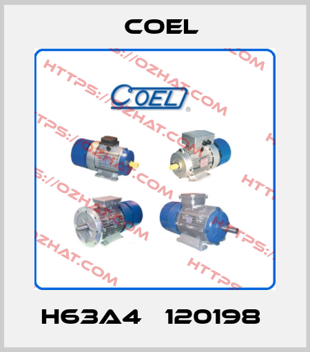 H63A4   120198  Coel