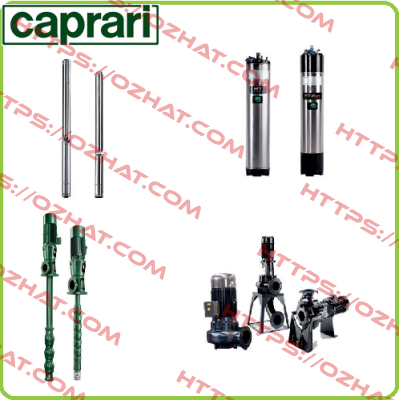 Flansch Set DN32 1-1/4" VA  CAPRARI