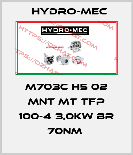 M703C H5 02 MNT MT TFP 100-4 3,0kW BR 70Nm  Hydro-Mec