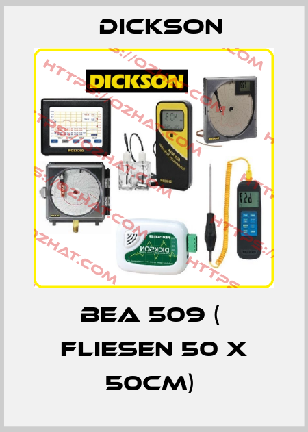 BEA 509 (  Fliesen 50 x 50cm)  Dickson