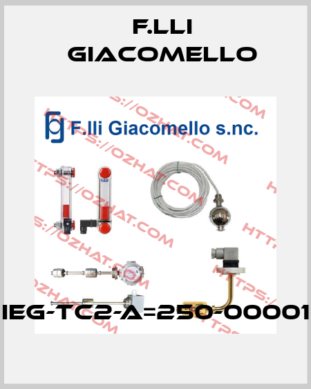 IEG-TC2-A=250-00001 F.lli Giacomello