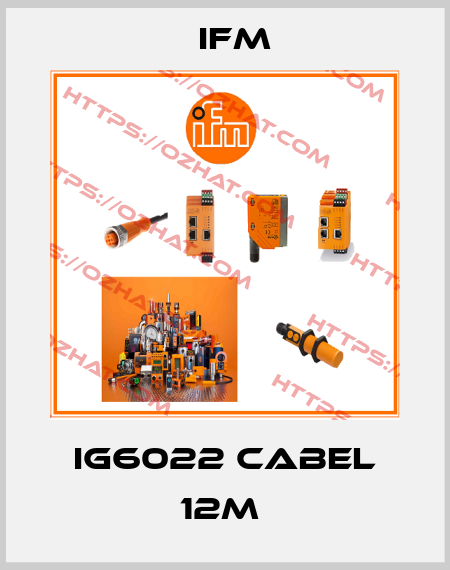 IG6022 CABEL 12M  Ifm