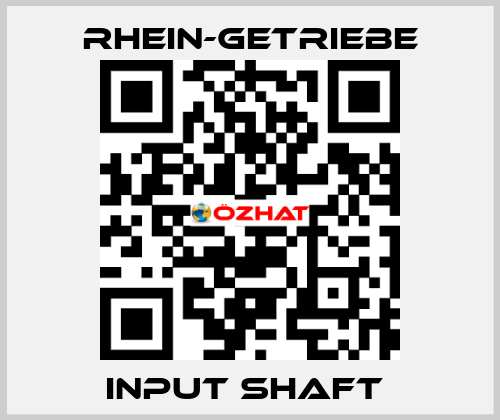 INPUT SHAFT  Rhein-Getriebe