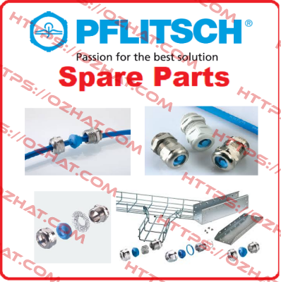 2202207S01  PFLITSCH
