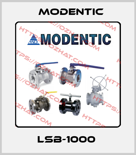 LSB-1000  Modentic