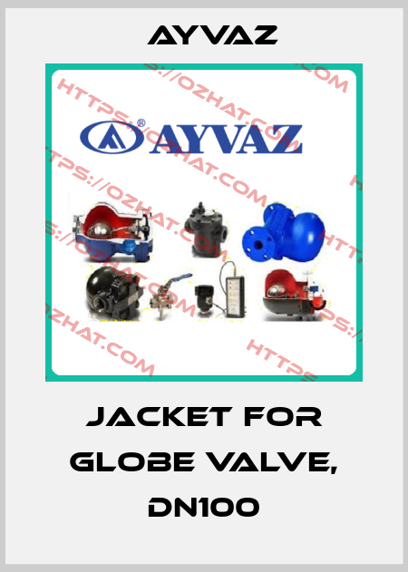 Jacket for globe valve, DN100 Ayvaz