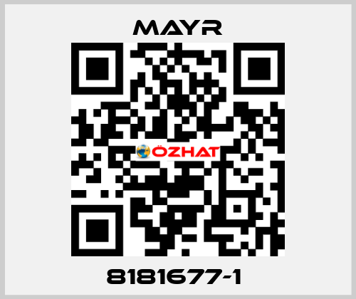 8181677-1  Mayr