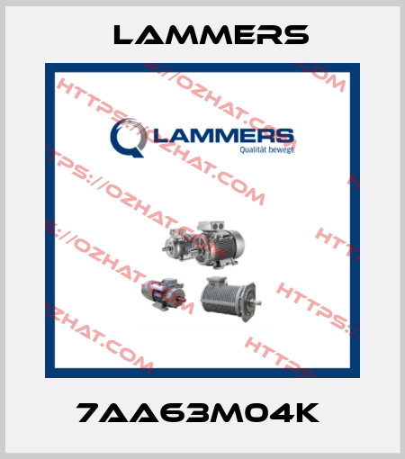 7AA63M04k  Lammers