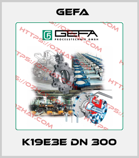 K19E3E DN 300 Gefa