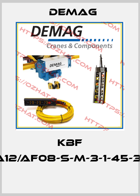 KBF 100A12/AF08-S-M-3-1-45-3/142  Demag