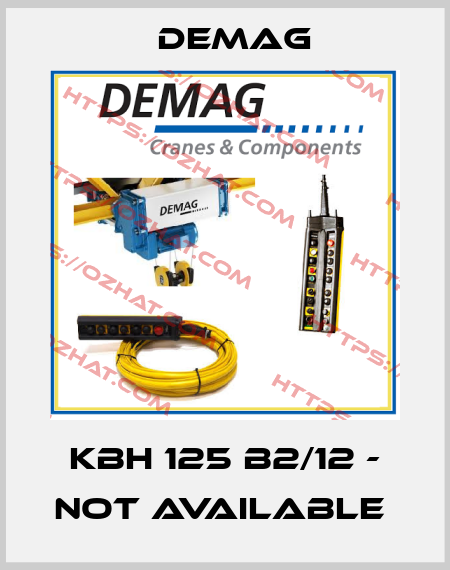 KBH 125 B2/12 - not available  Demag
